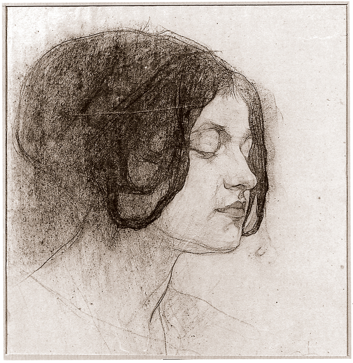  Nicolai Ivanovich Fechin —— 女人肖像